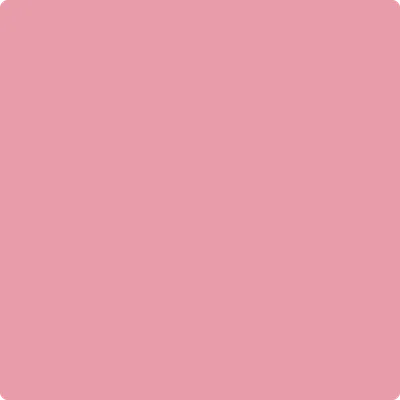 1340: Pink Ribbon  by Benjamin Moore