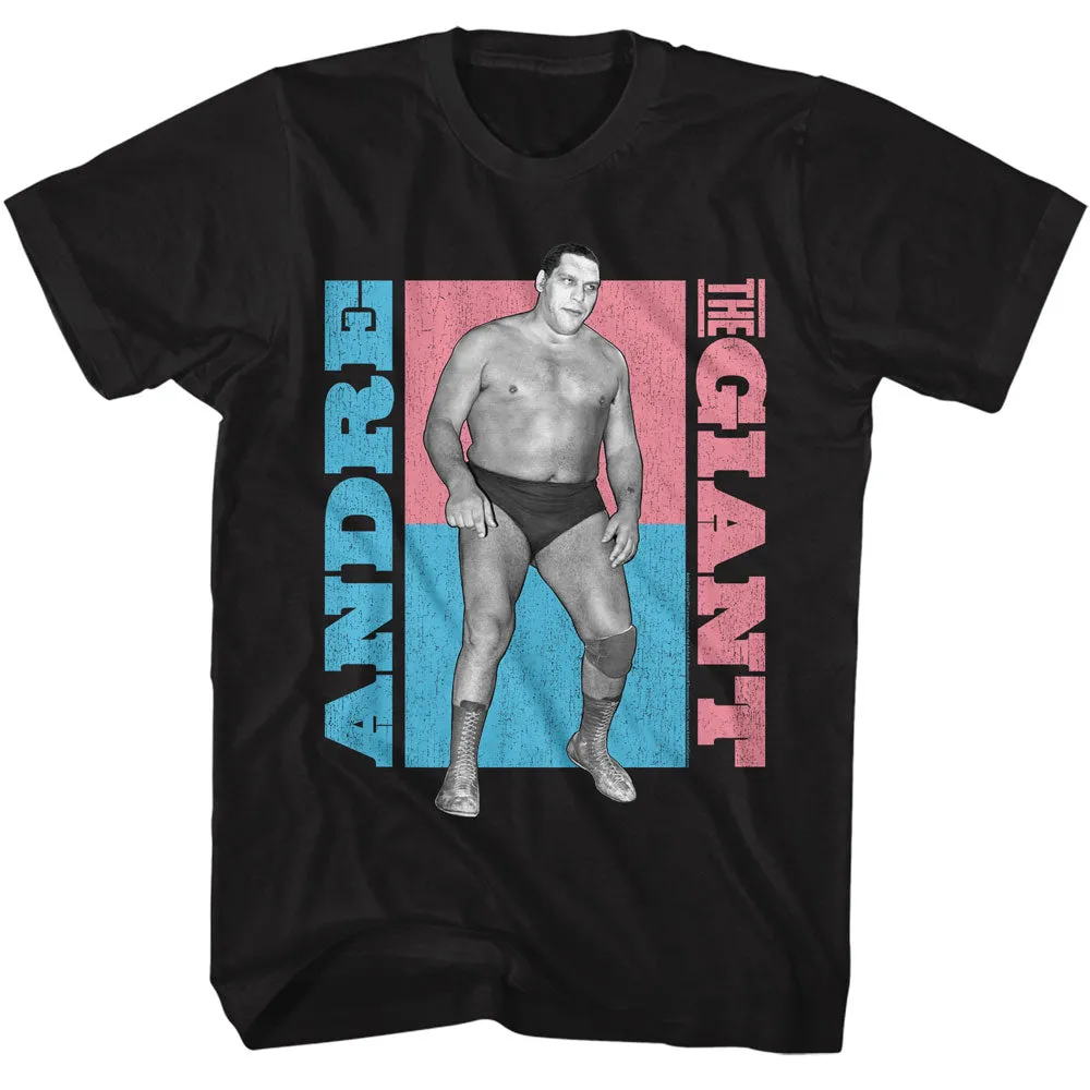 Andre the Giant - Color Blocks