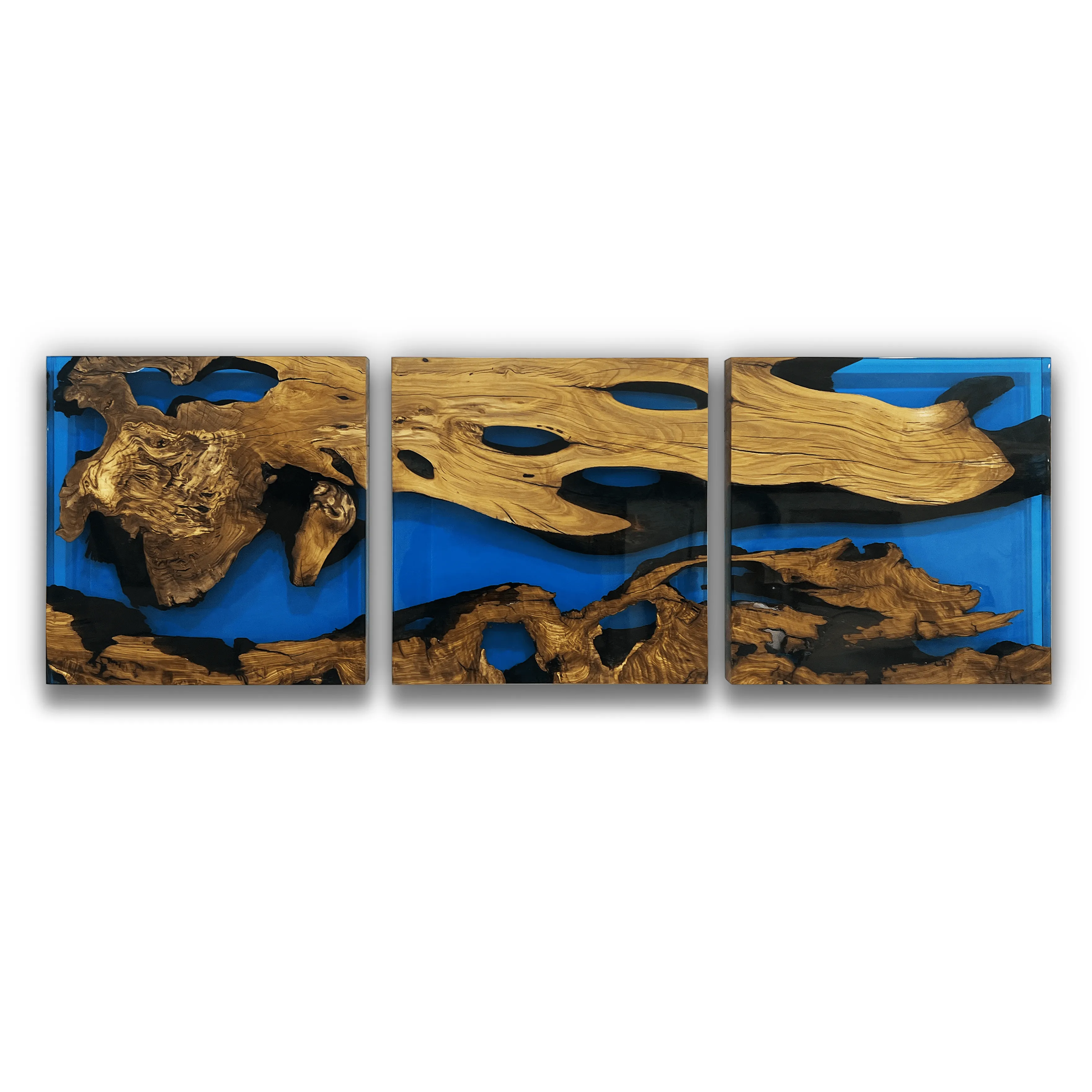 Blue Phaetusa Olive Wood Wall Art