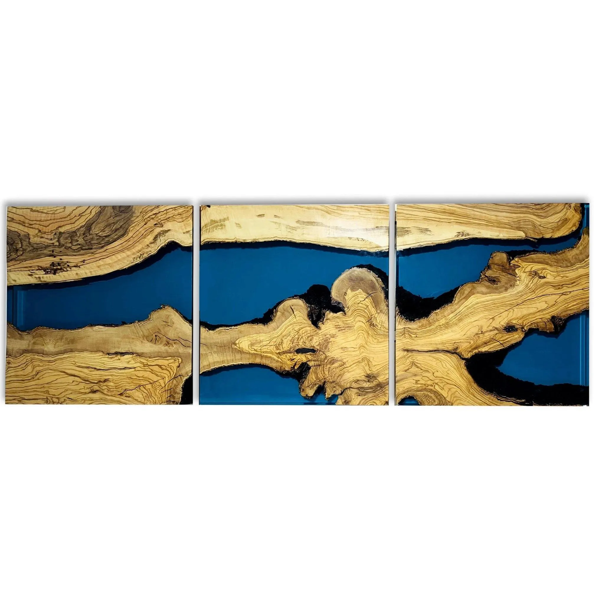 Blue Phaetusa Olive Wood Wall Art