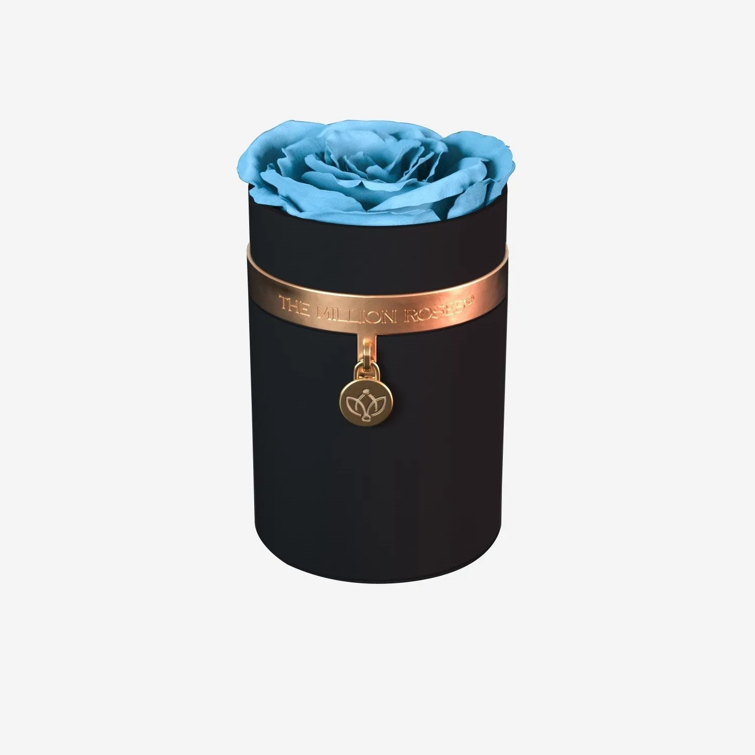 One in a Million™ Round Black Box | Charm Edition | Light Blue Rose